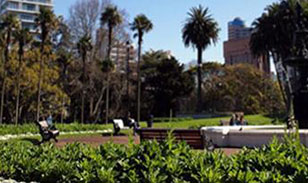 新西蘭——奧克蘭媒體設計學院