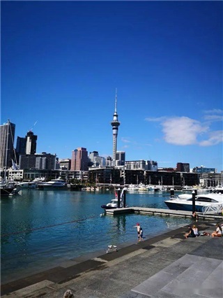 新西蘭留學(xué)|新西蘭中小學(xué)留學(xué)全攻略：優(yōu)勢、課程體系與申請指南!