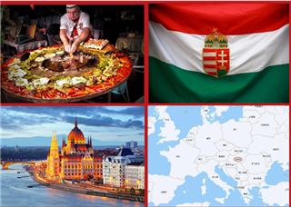 匈牙利留學|維克勒國際大學：通往歐洲名校的橋梁，中英雙語筑夢布達佩斯